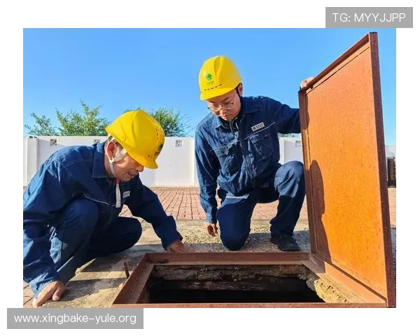 欧博正网合作上下分平台的技术支持与客户服务保障措施